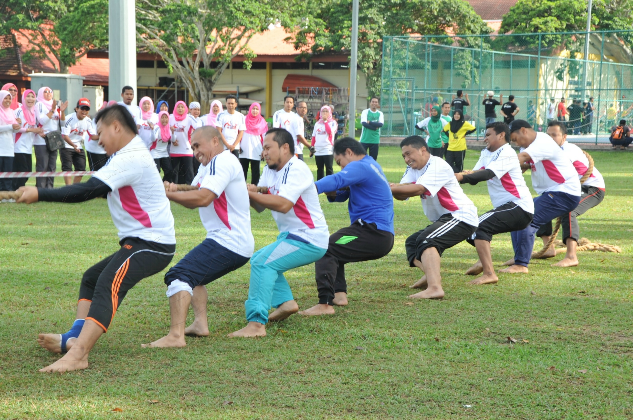 PRO 15 53 KIESTA HAS 5518